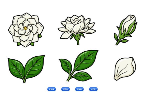 Reviewing Elegant Gardenia Floral Clipart for Stitching
